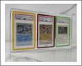 3 Slot PSA Bumper Acrylic Display Case
